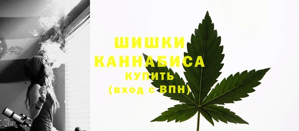 ПСИЛОЦИБИНОВЫЕ ГРИБЫ Кстово
